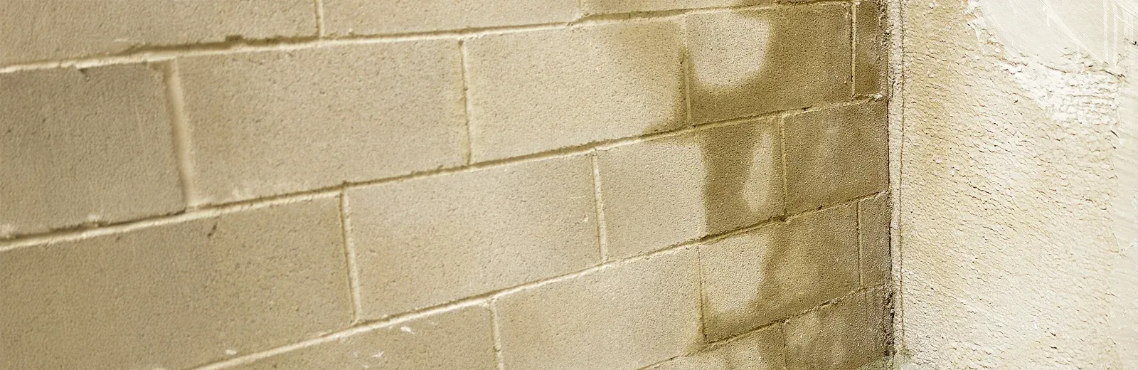 wet basement wall